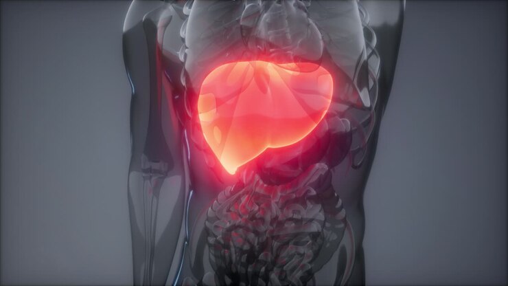 Human Liver Radiology Exam