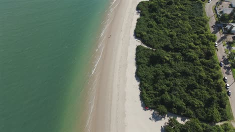 description: a bird's-eye view captures the beauty of daniela beach with its stunning sandy shores and calm green waters