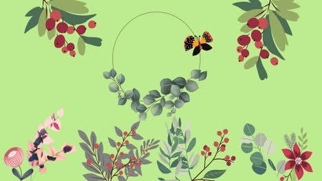 animation of foliage, berries and flowers with butterfly and circle on green background