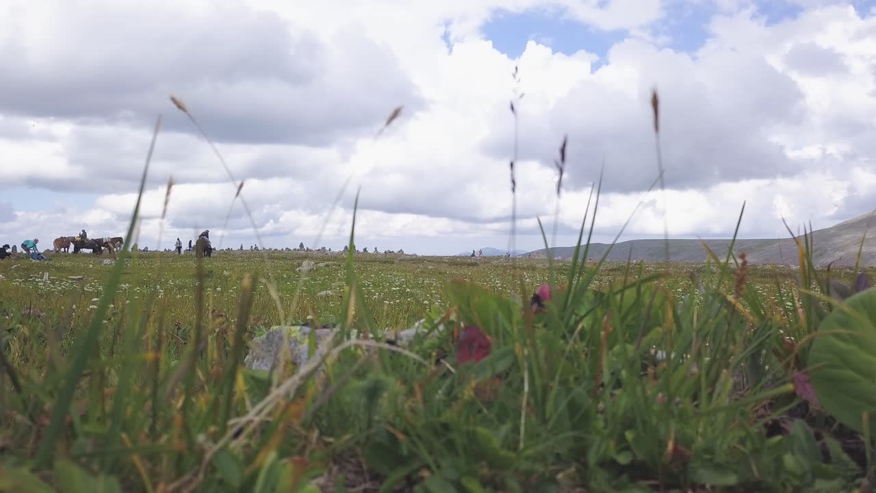 산악 들판 에서 산책 하는 사람 들 과 말 들
