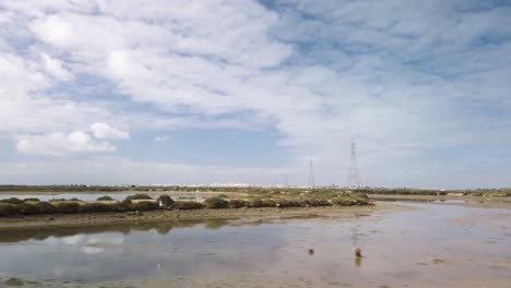 Cámara-Lenta-Pasando-Por-Pájaros-En-Los-Humedales-De-Cádiz,-España