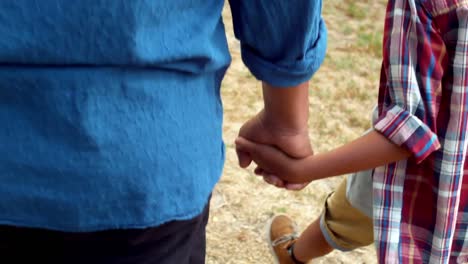 Father-and-son-holding-hands-while-walking-in-garden