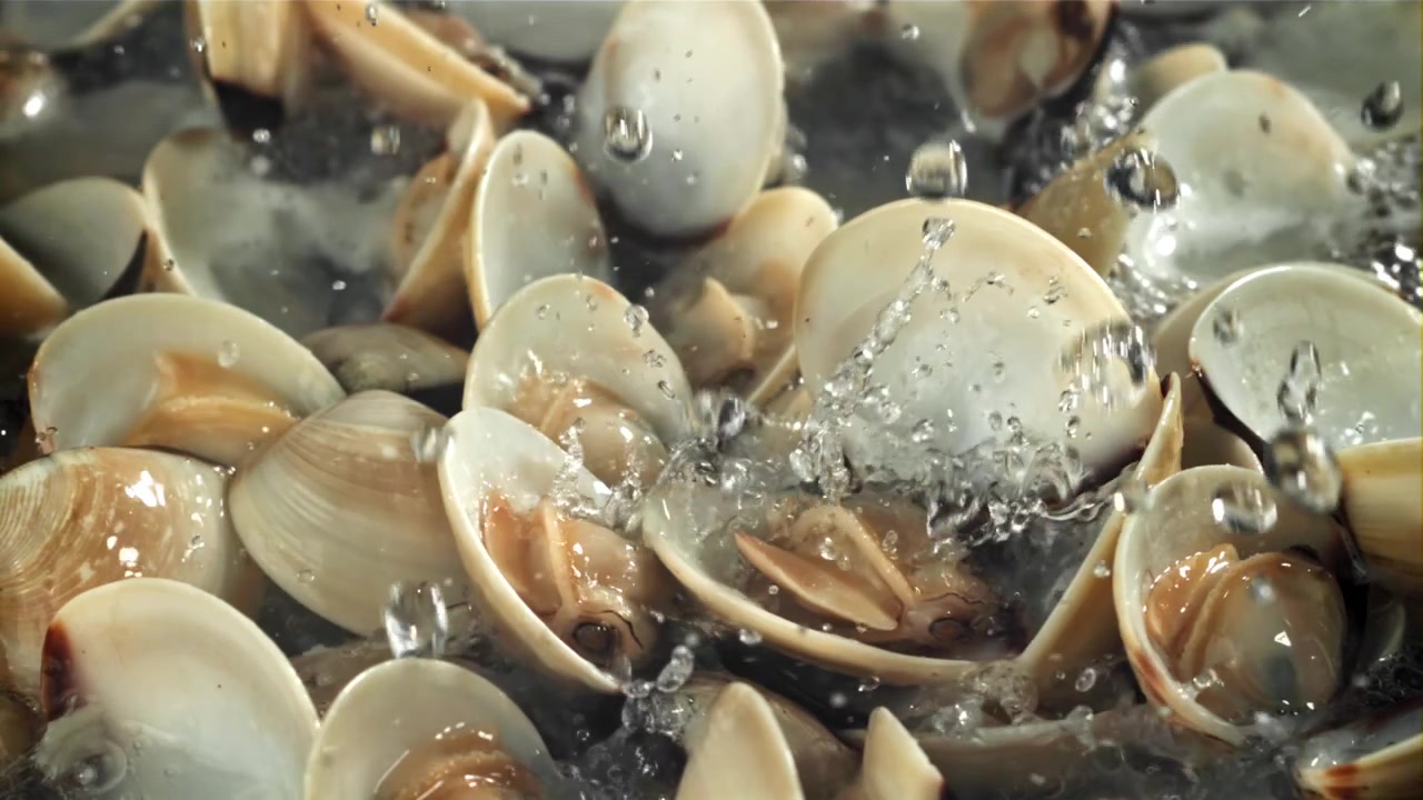 Slow Motion Water Splashing on Fresh Clams