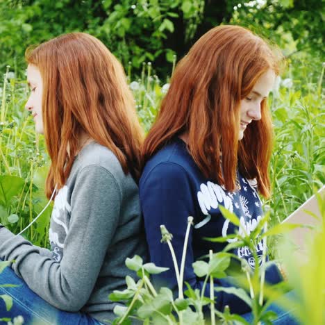 two twin sisters rest in the park