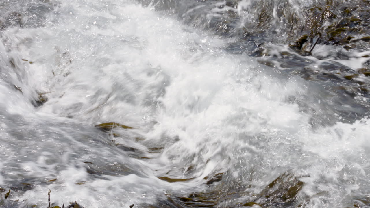 Slow motion footage of forceful waves splashing over seaweed along the Atlantic shore
