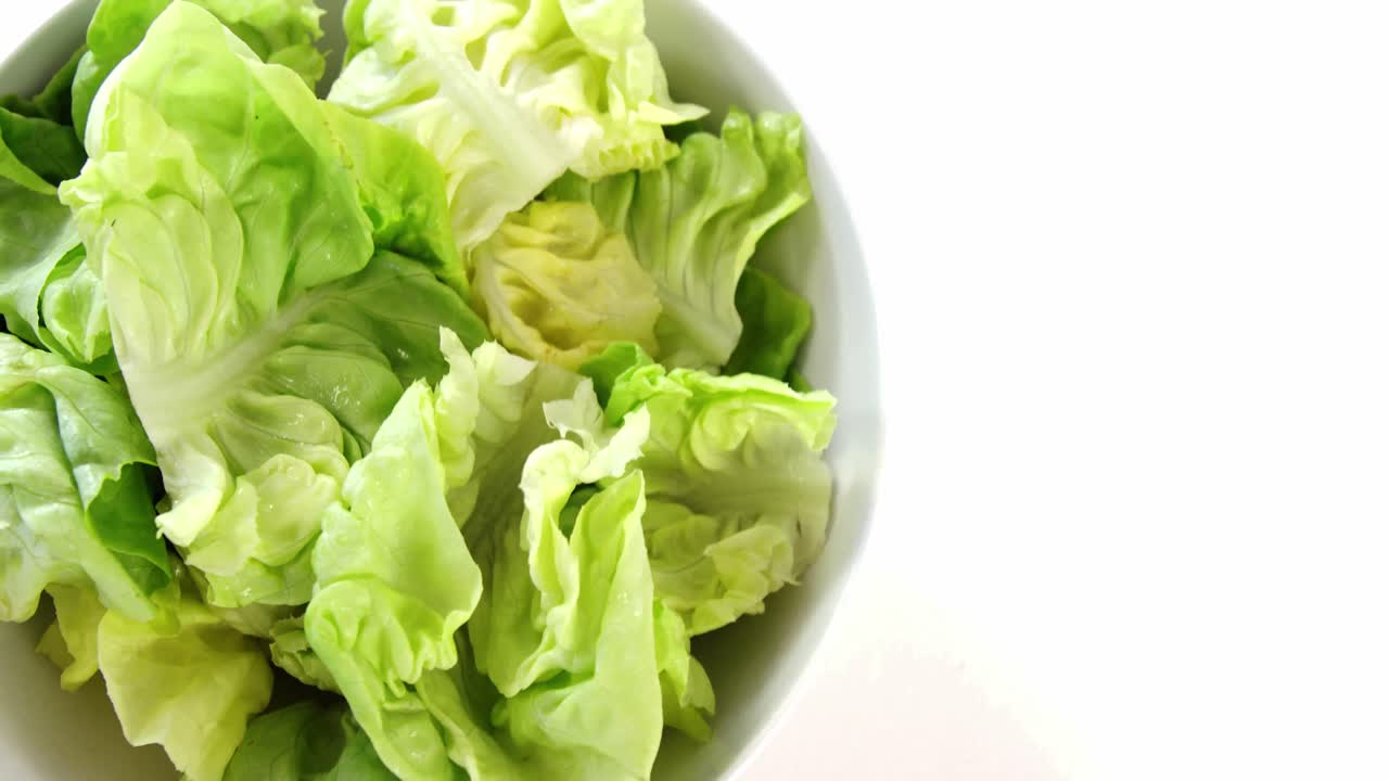 hojas de repollo en un cuenco