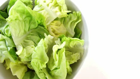 cabbage leaves in bowl