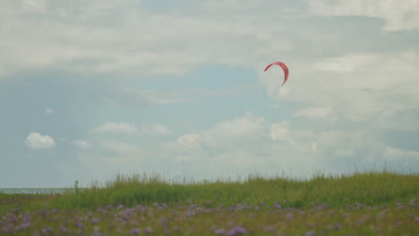 Static-wide-shot-of-a-kite-of-a-kite-surfer-behind-some-growing-grass