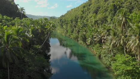 belo drone aéreo revelador frontal disparado sobre um amplo rio asiático com palmeiras salientes sobre a água e floresta verde nas margens do rio durante o pôr do sol 4k drone shot