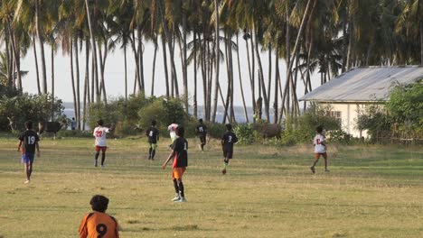 Gruppe-Von-Leuten,-Die-Fußball-Spielen