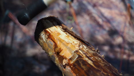 afilando una varilla de madera