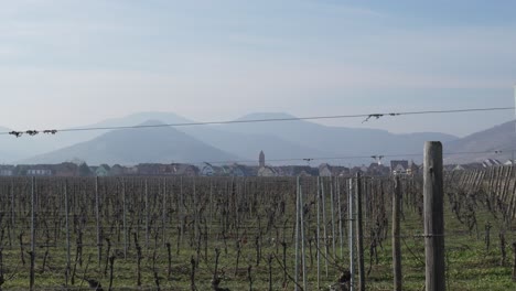 Blick-Auf-Die-Weinberglandschaft-In-Zeitlupe-Mit-Dem-Dorf-Kaysersberg-Im-Hintergrund