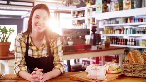 Portrait-of-waitress-standing-behind-the-counter