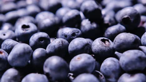 a closeup shows fresh blueberries ideal for healthy recipes smoothies and tasty desserts. a closeup shows fresh blueberries, ideal for healthy recipes, smoothies, and tasty desserts