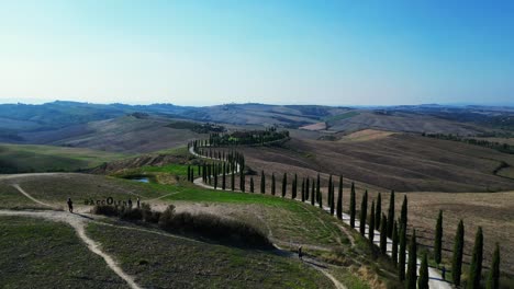 Schöner-Flug-Von-Oben-Aus-Der-Luft,-Toskana,-Zypressenallee,-Ländliche-Gasse,-Italien