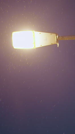 la luz dorada de la calle arroja un brillo cálido sobre los copos de nieve que caen suavemente contra un cielo azul profundo de la noche, creando un ambiente tranquilo de la noche de invierno.