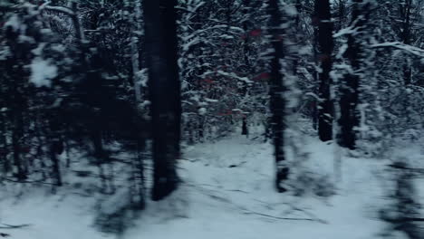 Drive-through-a-snowy-forest-with-snow-covered-trees