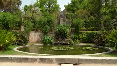 hermoso estanque en el jardín botánico de la universidad de coimbra