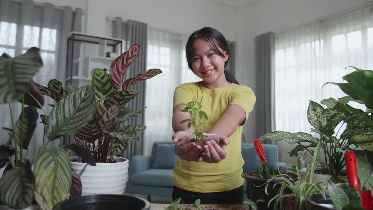 Asian Girl Holding Green Seedling On Soil At Home