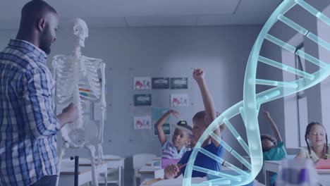 Animation-of-dna-strand-over-smiling-african-american-male-teacher-showing-pupils-skeleton-in-class