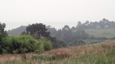 Nebliger-Morgen-Auf-Dem-Land:-Ruhige-Felder-Und-Wälder