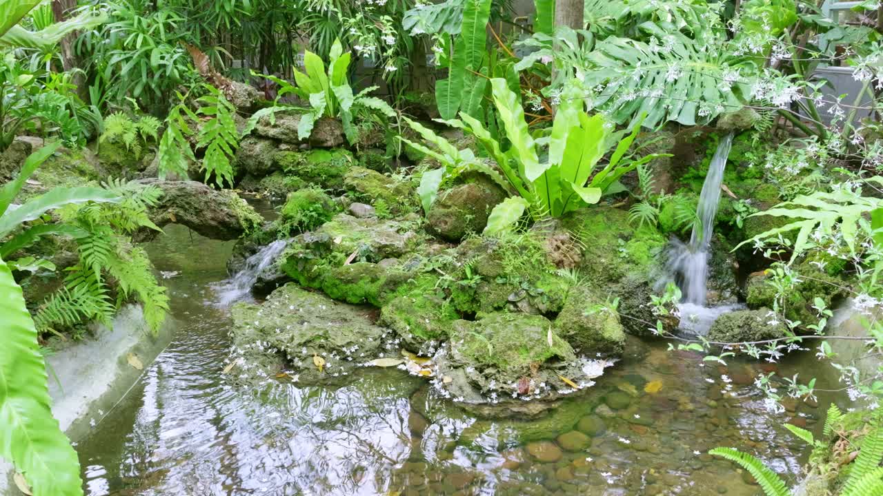 Explore a serene tropical landscape featuring flowing water and vibrant greenery.