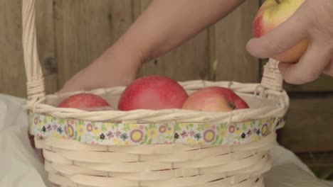 A-freshly-picked-basket-of-red-and-yellow-juicy-fresh-apples