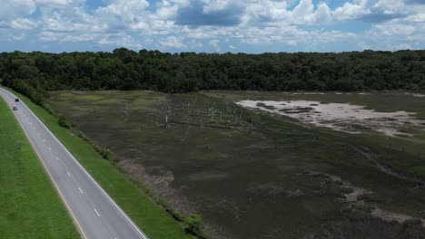 Video-De-Subida-Y-Distancia-Tomado-En-Un-Día-Soleado-De-Verano-En-Carolina-Del-Sur-De-Un-Grupo-De-árboles-Muertos-En-Un-Pantano-Pantanoso-Con-Marea-Baja