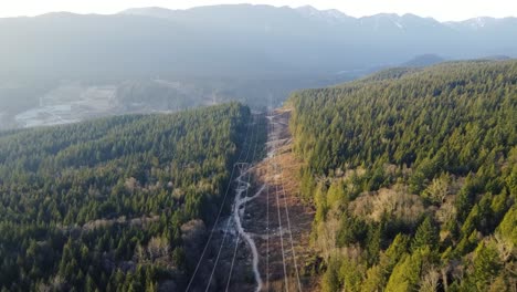 無人機在森林中追蹤電線,背景是山脈