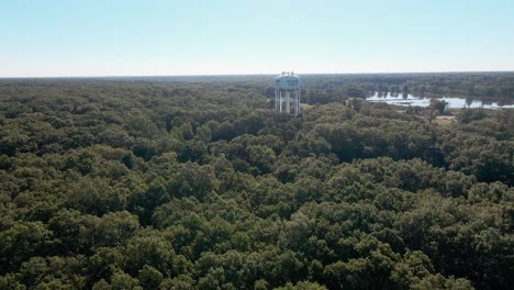 Summer-heat-hitting-the-lush-treetops-in-Muskegon