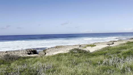 Ein-Klarer-Tag-Offenbart-Die-Atemberaubenden-Blauen-Meereswellen,-Die-Sanft-Auf-Die-Felsige-Und-Grasbewachsene-Küste-Von-Oahu-Krachen