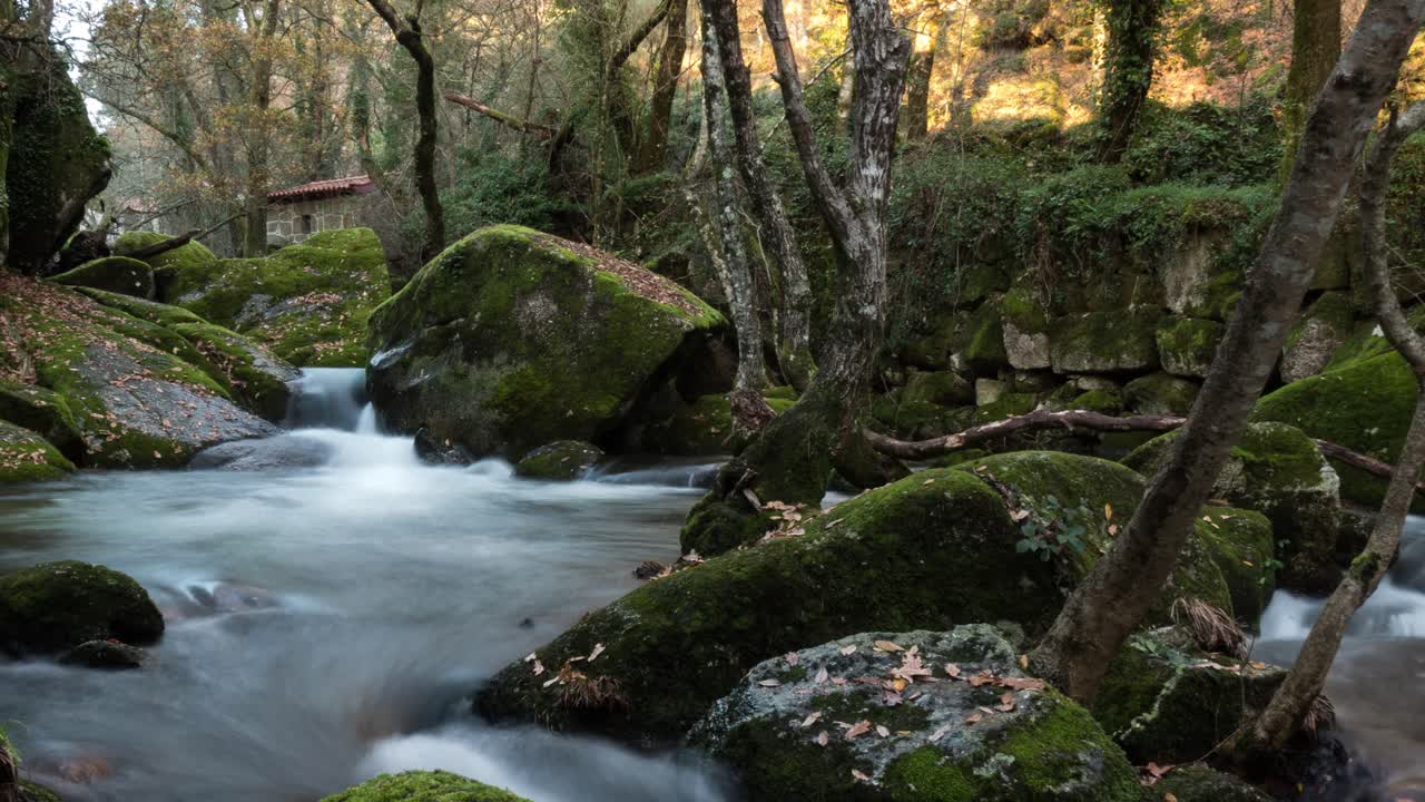 Timelapse van een bergrivier die tussen de stenen doorstroomt midden in een bos