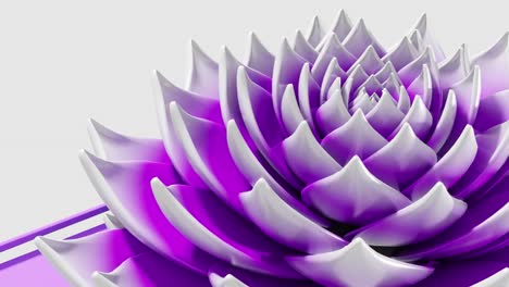 digital art animation of purple lotus flower opening in loop 3d rendering