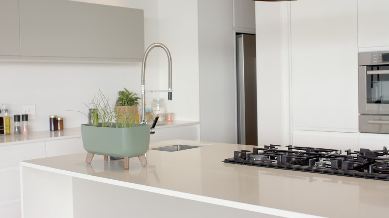Cucina moderna con pianta in vaso sul piano di lavoro, caratterizzata da elettrodomestici eleganti, con spazio per il testo.