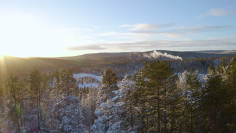 aerial view towards rural forested smoking cabins surrounded by sunrise snow covered scandinavian woodland landscape