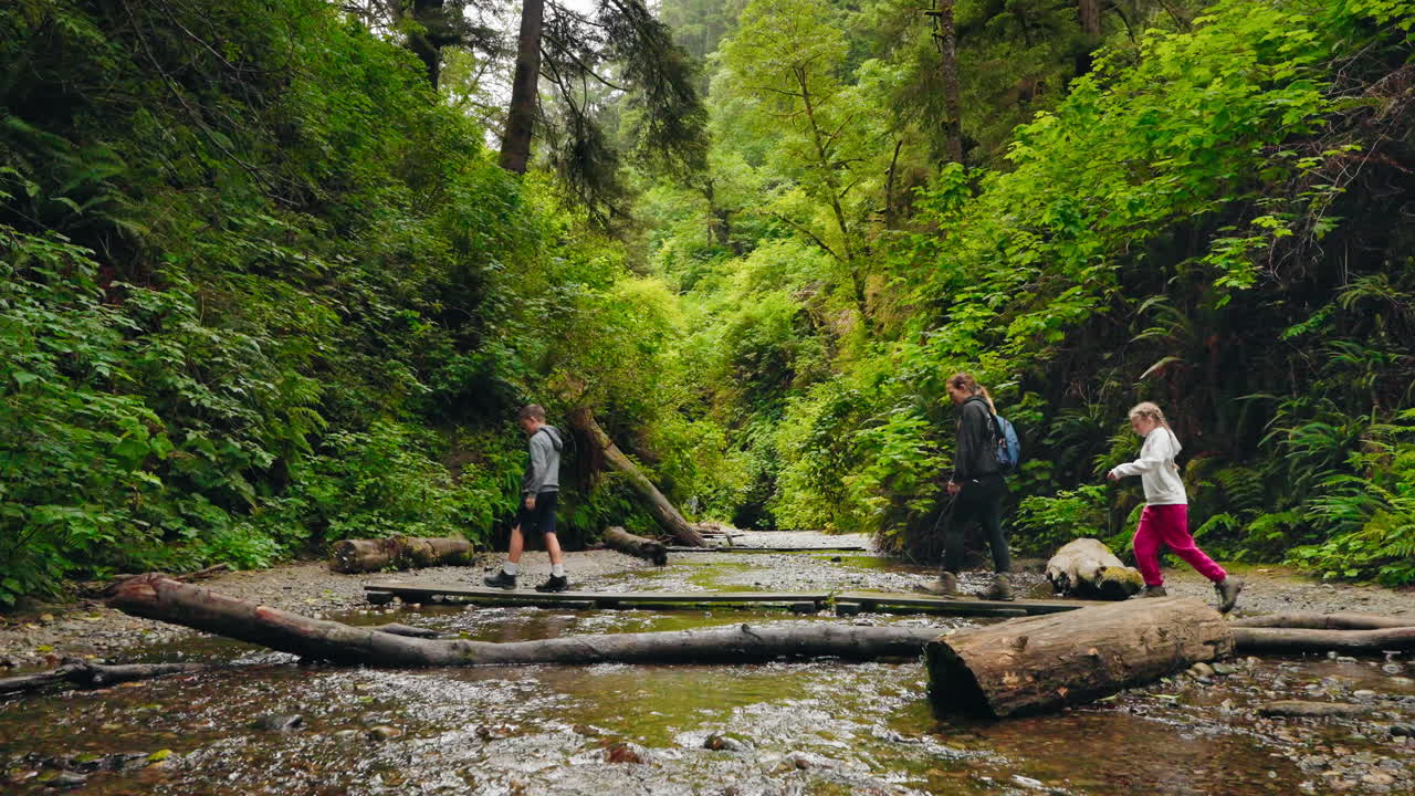 Discovering nature trails a mother and kids in the forest