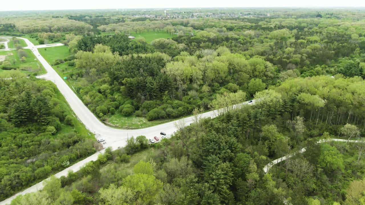 A small urban road going through a dense part of a local forest park