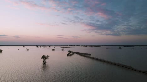 Sonnenuntergang-über-Den-Tonle-Sap-Flutflächen,-Während-Das-Hochwasser-Zurückgeht-Und-Vereinzelte-Einsame-Bäume-Und-Eine-Fischfalle-Mit-Pfeilspitze-Zum-Vorschein-Bringt