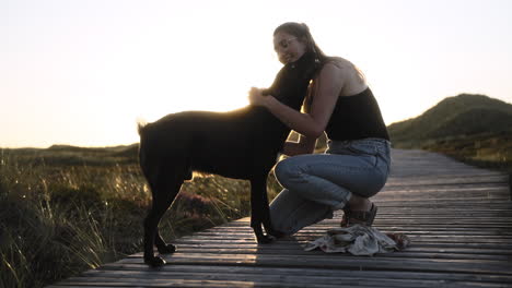 Video-En-Cámara-Lenta-De-Una-Interacción-Entre-La-Dueña-Y-El-Perro-Mientras-Se-Pone-El-Sol