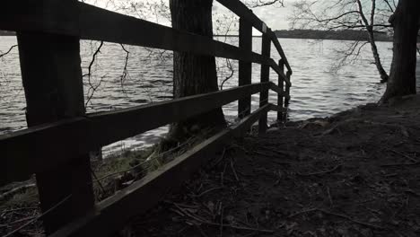 Timelapse-Del-Lago-Al-Borde-De-Un-Bosque