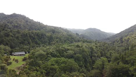 Cabaña-En-El-Bosque-Nativo-De-Nueva-Zelanda-4k-Drone-Shot