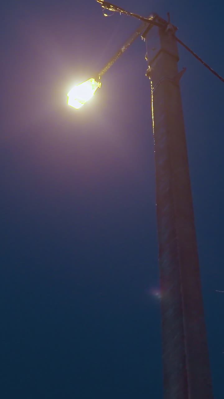 las ramas de los árboles cubiertas de hielo brillando bajo la luz de la calle, creando una escena de invierno serena con la luz suave del poste de la lámpara que destaca las ramas heladas contra el cielo nocturno oscuro