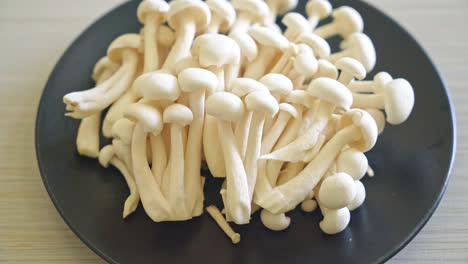champiñón de haya blanco fresco o champiñón reishi blanco en el plato