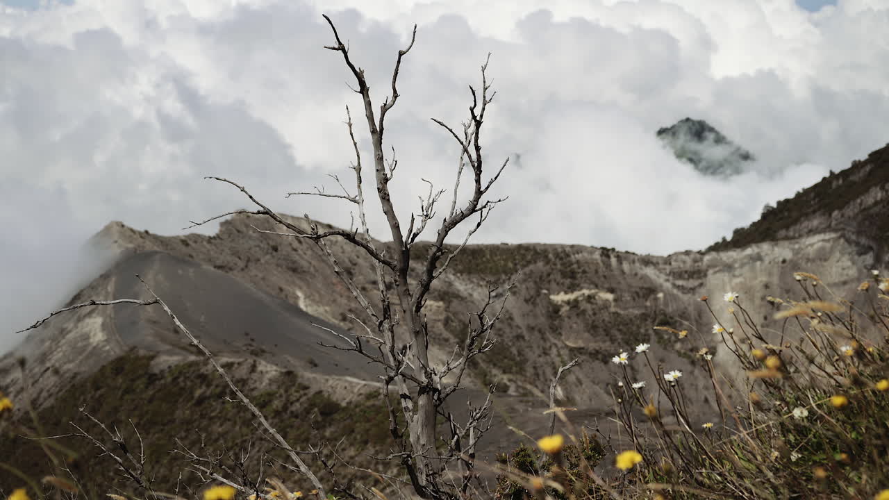 백색 구름 위에 있는 이라즈 화산 꼭대기, 코스타리카 국립공원, 초점의 은 깊이, 전면에 있는 가지