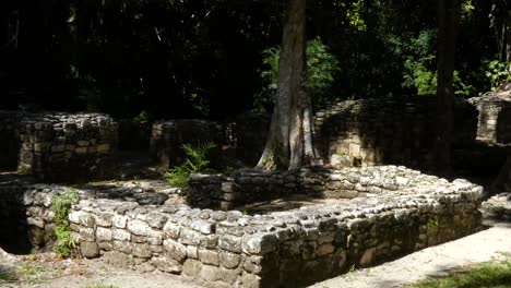 North-West-residential-compound-in-the-Kohunlich-Mayan-site---Quintana-Roo,-Mexico