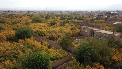 wide landscape of desert view village town in central iran aqda ardakan cityscape with pomegranate garden yellow orange leaves tree red ripe fruit make wine juice paste in traditional mudbrick house