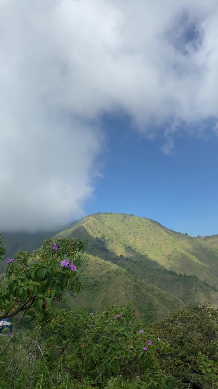 Cima di montagna rigogliosa sotto un cielo azzurro e nuvole