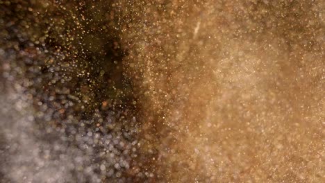 elegant, detailed, and golden particles flow with shallow depth of field underwater