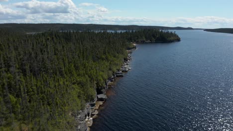 Drone-Volando-Sobre-La-Orilla-Entre-El-Lago-Y-El-Bosque-En-Un-Día-Soleado