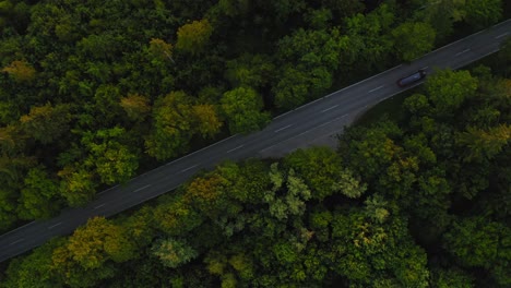 toma aérea superior sobre una calle que atraviesa un bosque mientras un automóvil pasa por la carretera orientada en diagonal